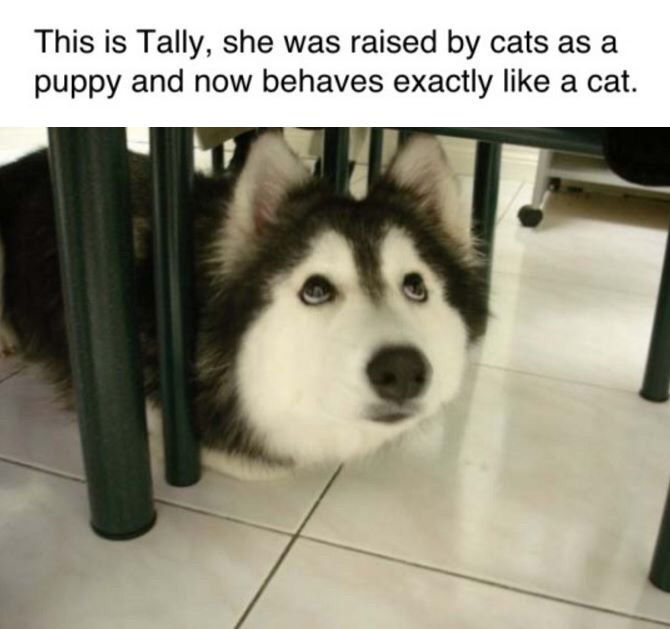 theinturnetexplorer:  I see no problem with this.