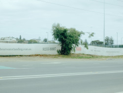 lpatrickphotos:  North Cronulla, NSW