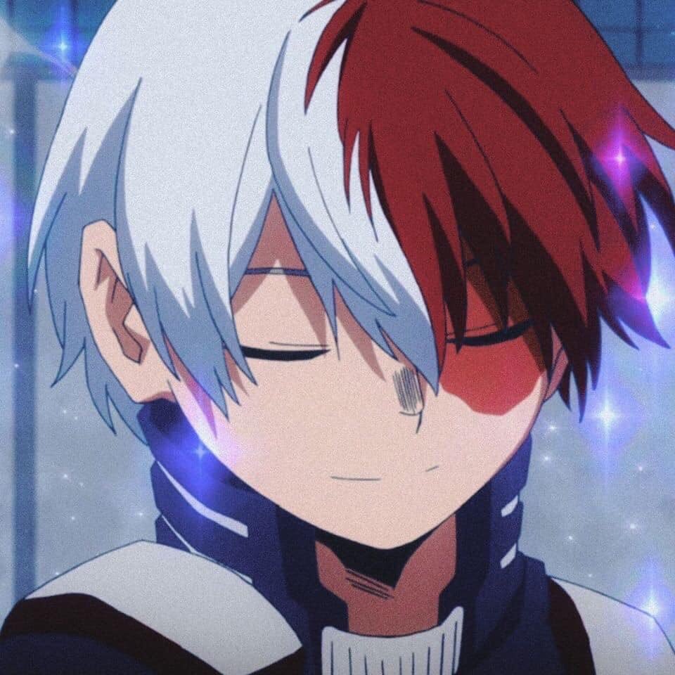 Todoroki Shoto Smile - Gamer 4 Everbr