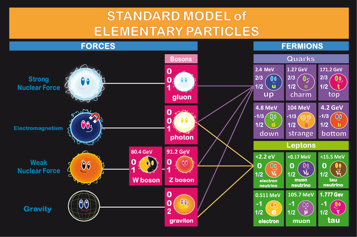 particle physics phd programs