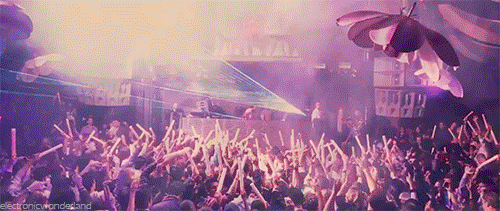 lovers-of-edm:  theedmscene.com