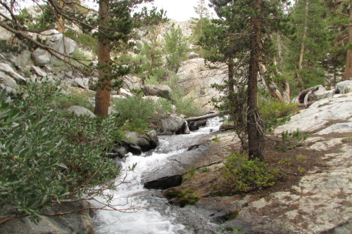 letsbeforestfriends:  river, (by letsbeforestfriends)