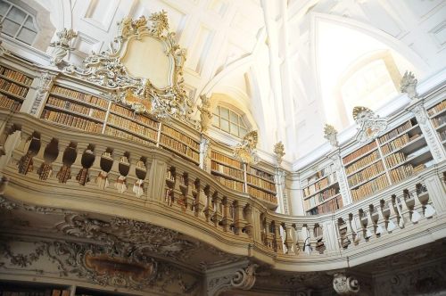 legendary-scholar:  Mafra Palace Library, Mafra, Portugal.