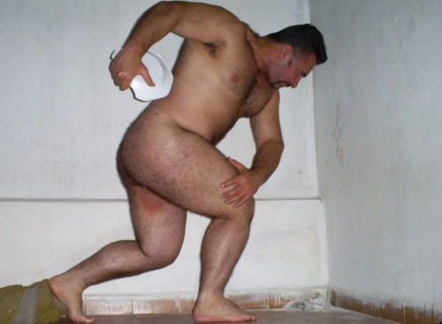 NH Muscle Bear