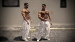 fagwhore4arabdesimasters:  WORSHIP ARAB MUSCLE:11