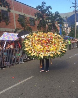 #feriadeflores2017 #desfiledelossilleteros