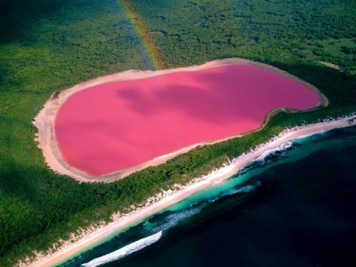 exploreelsewhere:Pink lagoon, Las Coloradas, Mexico. [1280×960] ✈