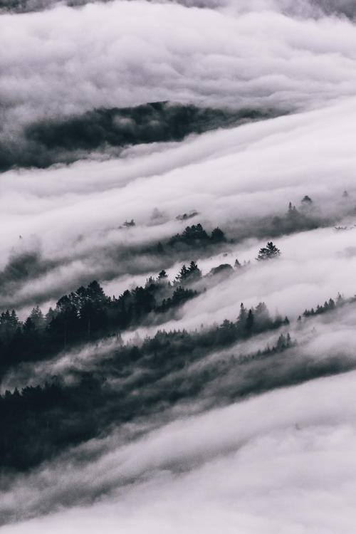 karl-shakur:Mt. Tam ▪️ Karl-Shakur  ▪️ Instagram