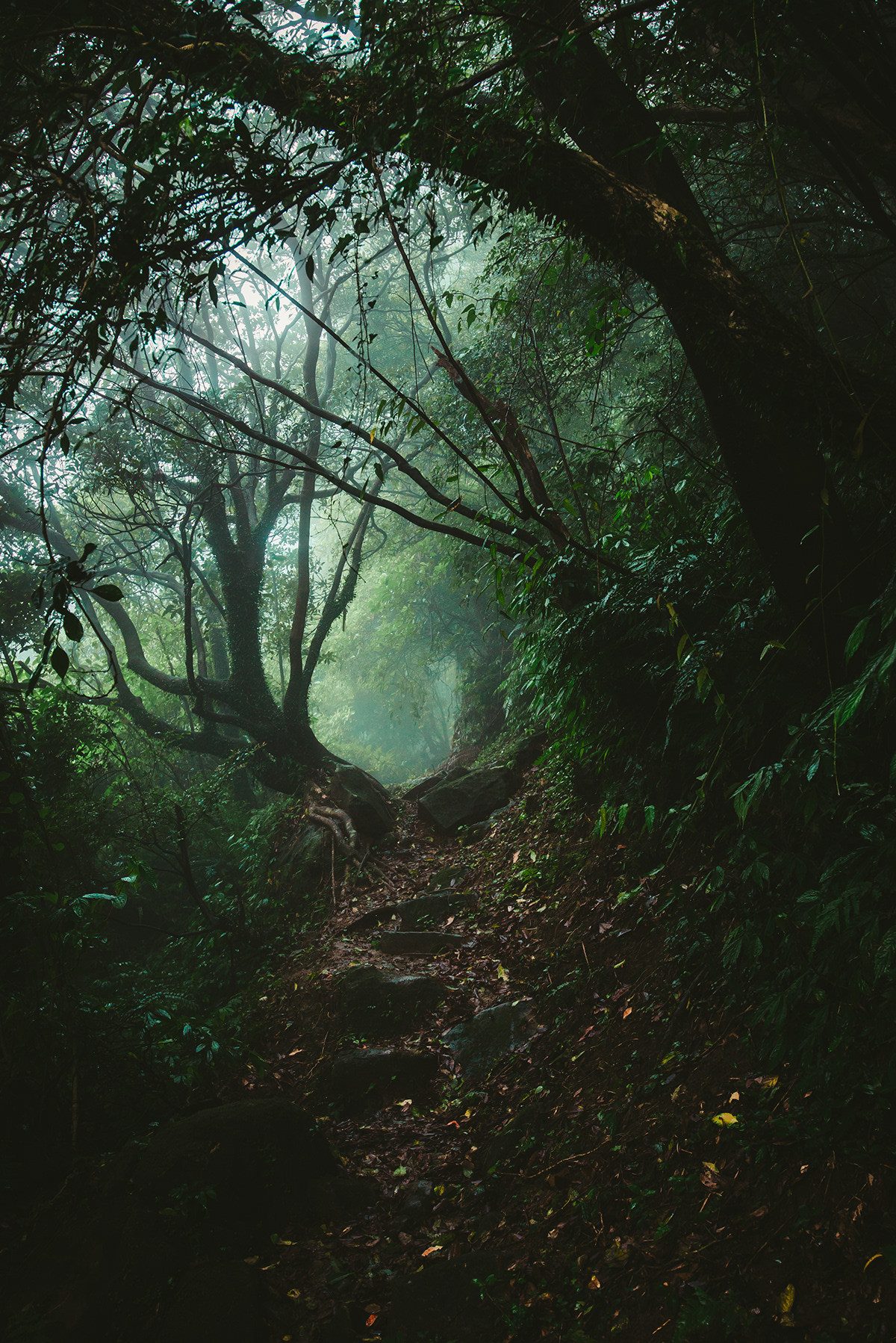 drxgonfly:Ali Pond Falls II (by Bo wen HUANG)