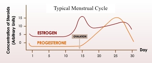 Birth Control Estrogen And Progestin Chart