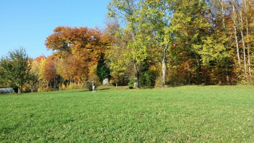 tumblr photo