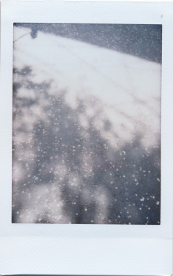 novr:Cherry-blossom viewing / A wry observer by F. SuzukiFujifilm Instax mini 50s cheki Piano Black.