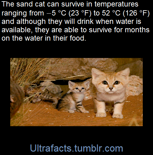 ultrafacts:  Fact Sources: [1] [2]  For more facts, follow Ultrafacts   