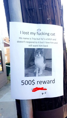 someuphillbattle: pussifoot:   temporarywhales:  This sign has been up by my house for weeks and curiosity got the better of me so i texted the number and:   Trip isn’t fucking happy   trip is a bitch 