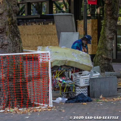 sadsadseattle