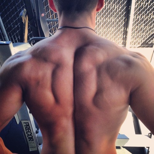 lumbrjax:  Instagram user @alex_vanderlinden http://ift.tt/1Q2y0Ds 
