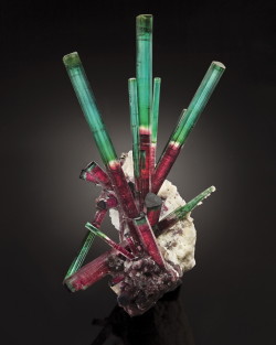 ifuckingloveminerals:  Tourmaline