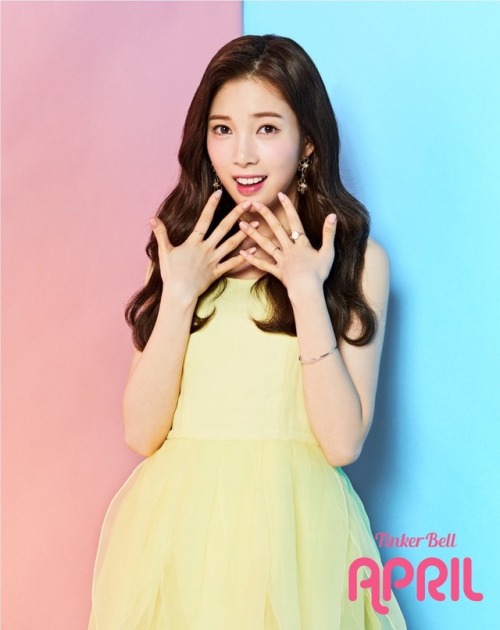 fyeah-april: #April Japan Debut Single 『TinkerBell』 [TinkerBell:CHAEKYUNG] Teaser Photo #1 Album Rel