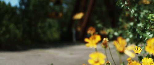 tumblr photo itspronouncedguy-care 4