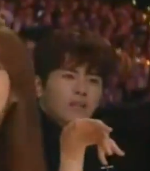 lepuffpuff:  mama 2013 ylvis performance  sistar having really good time  and then there is hoya  ‘…dafuq’     