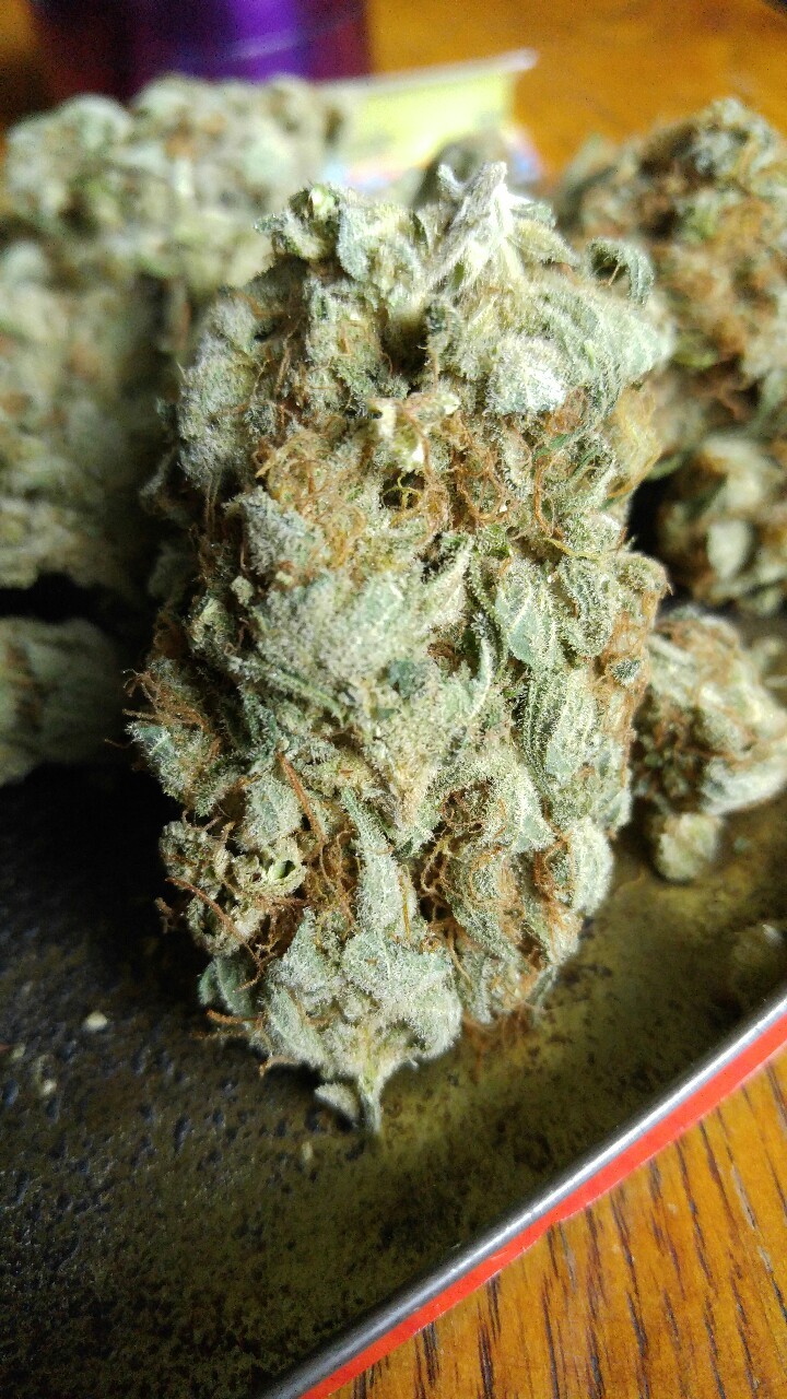 weed-breath:  Grape God