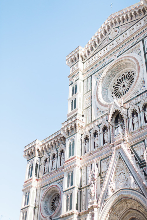 venusverticordias:Cattedrale di Santa Maria del Fiore, Firenze, Italia by Carrie