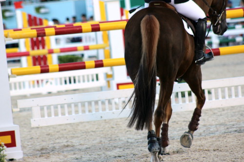 sjhphotography:Devon ‘13