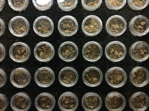 Bubble Hash, we got some. $20 a gram and a dollar for members! (once per month) They aren&rsquo;