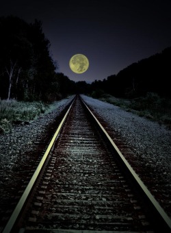 lonelywanderer83:  Railroad tracks and a