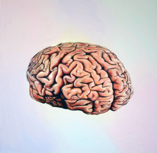 Brain, oil on canvas, 50x50cm, 2015Megan Archermeganjarcher.com