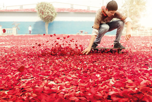 susurrantirritant:  sixpenceee:  It may have looked like a scene out of a dream, but, for one day last year, a town in Central America was covered in 8 million flower petals. While the rain of petals over Costa Rica was all part of a shoot for a Sony