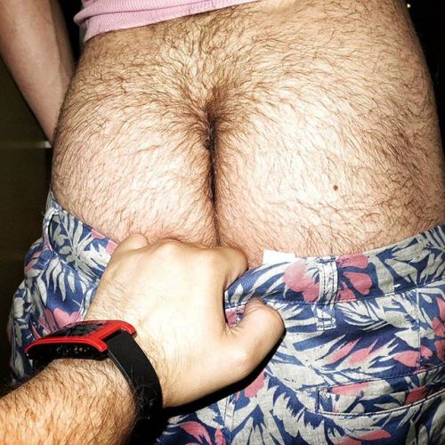 Porn Bear Bearded photos