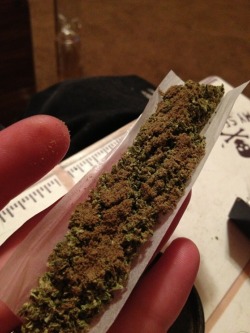 thc-lungs:  thc-lungs:  rolling a kiefy joint  bringing it back 