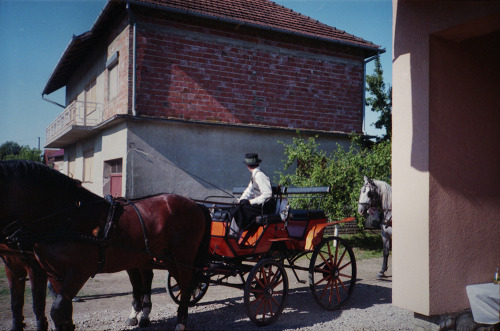 Županja, June 2014