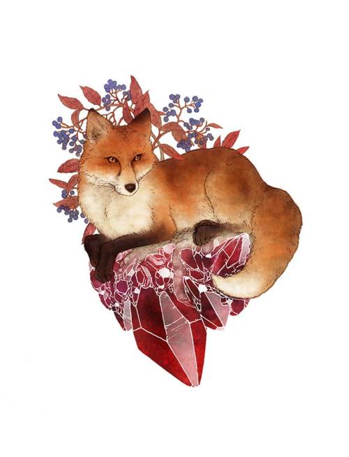 snootyfoxfashion:  Nature Animal Art Prints by Curioseumx / x / x / x / xx / x / x / x / x