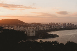 petalier:Rio by Carrie WishWishWish on Flickr.