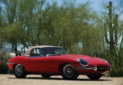 happyharry101:  Just Love - E Type Jag’s