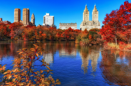  Central Park bursts with bright &amp; brilliant color as fall foliage season