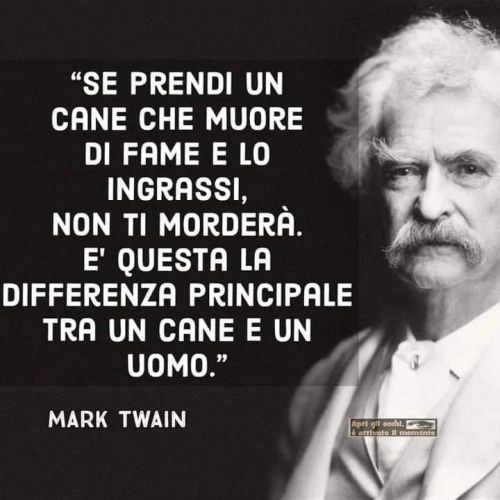 È difficile fidarsi delle persone, per questo i ciechi preferiscono essere guidati dai cani.
Cit.
https://www.instagram.com/p/CfRww71rkgR/?igshid=NGJjMDIxMWI=