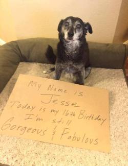 awwww-cute:  Happy 16th Birthday to Jesse!