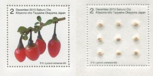 fujiwara57:Les “Timbres” de Ōta Saburō 太田三郎(1950 -1971). Né en 1950, Yamagata 山形. Il est diplômé du 