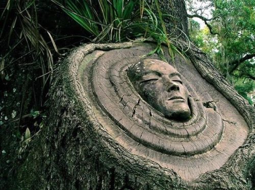 archiemcphee: Sculptor Keith Jennings carves sage and serene faces into the trunks of trees for a p