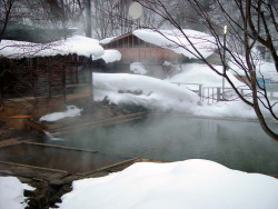 haikcutie:   	Kita Onsen by John G. Cramer