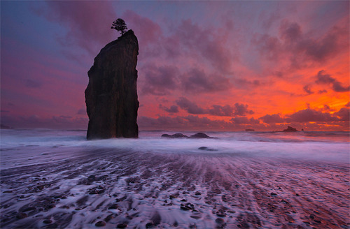 Rialto Beach - Forks Olympic National Park, Washington by Lightvision [光視覺] on Flickr.