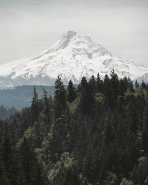 carrie-outdoors:Found Mount Hood!(at Panorama Point)