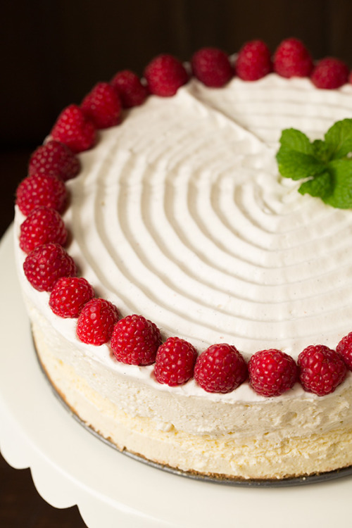 sweetoothgirl:Vanilla Bean Cheesecake