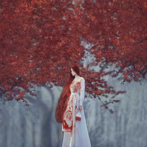 Oprisco Photography facebook / Twittermore cool art here