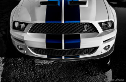 ford-mustang-generation:  Shelby GT500 by F-Stop Seattle on Flickr.