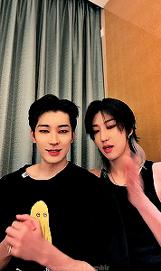 Black Cat Line
