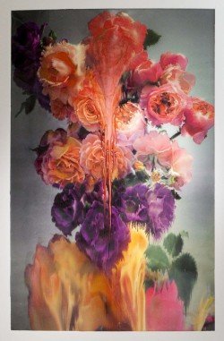 arpeggia:  Nick Knight - Flora | More